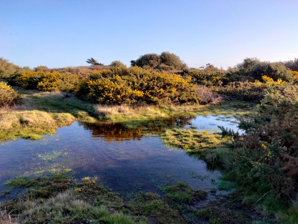L'île qui ne boit pas son eau